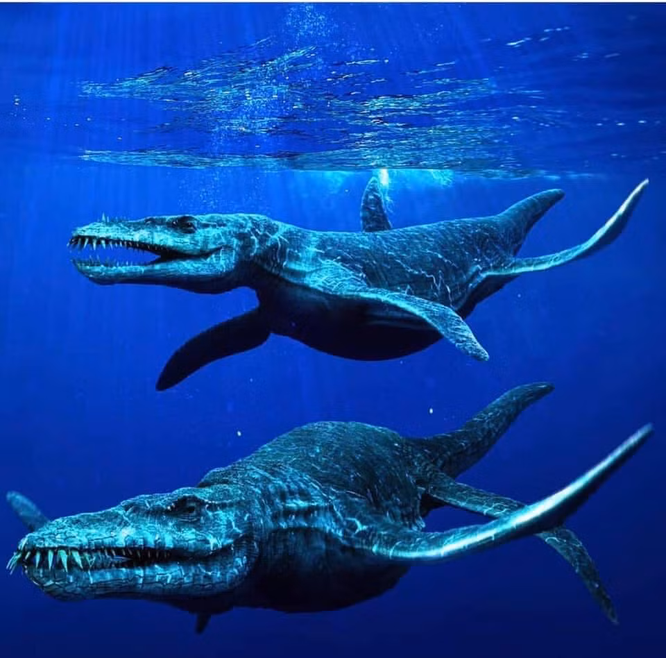 Đây là kẻ săn mồi đáng sợ nhất trong các vùng biển của cuối kỷ Jurassic.