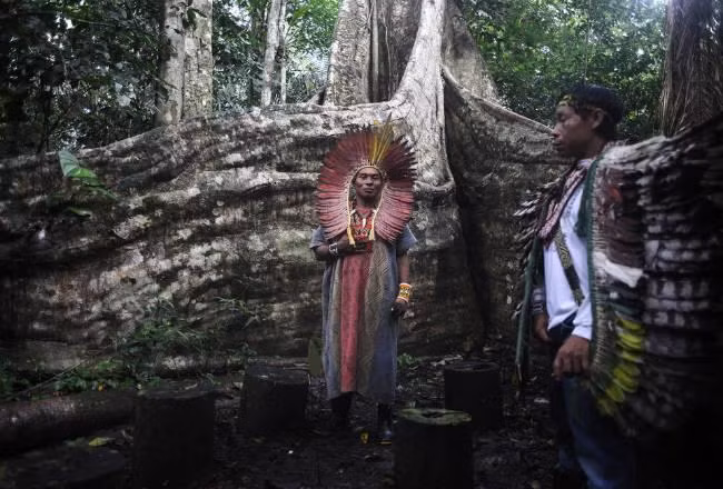 Mối quan hệ của họ với thiên nhiên là một điều thiêng liêng.