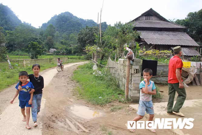 Rung ron ngon nui thieng noi ho than ngu tri o Son La