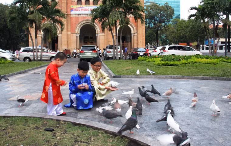 Những cô, cậu bé vui đùa cùng đàn chim bồ câu tại khu vực nhà thờ Đức Bà sáng mùng 1 Tết 2015.