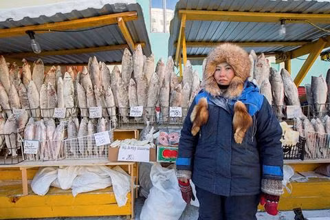 Trong cái lạnh khó hình dung này, cuộc sống của người dân Yakutia vẫn diễn ra bình thường. Những con cá tươi cũng trở nên đông lạnh, giá không hề rẻ.