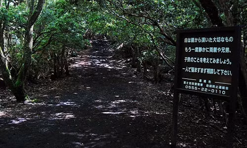 Tấm biển nhắc nhở đặt ngay lối vào Hải Lâm (Aokigahara forest) nhằm đề nghị du khách chớ liều mình. Tấm biển nhắc nhở đặt ngay lối vào Hải Lâm (Aokigahara forest) nhằm đề nghị du khách chớ liều mình.