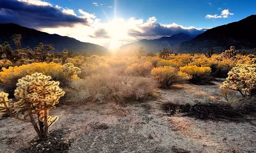 Mojave, Tây Nam nước Mỹ. Mặc dù địa điểm nổi tiếng này chứa các công viên quốc gia Joshua Tree và Death Valley, Mojave là sa mạc nhỏ nhất ở Bắc Mỹ.