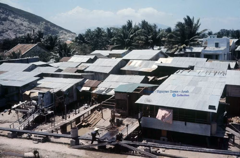Hinh anh hiem co ve can cu Cam Ranh nam 1968 (1)-Hinh-2