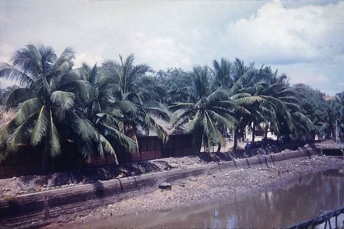 Một đoạn bờ sông Sài Gòn nhìn từ một con tàu đang di chuyển.