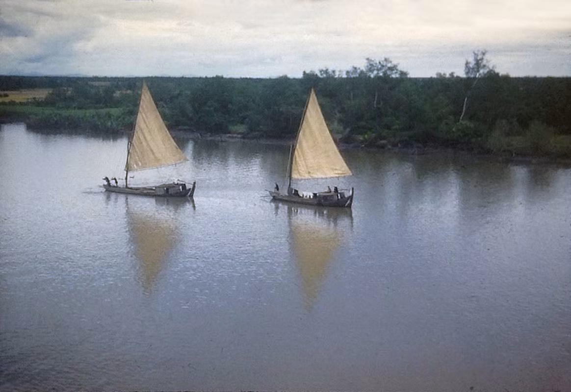 Những con thuyền của dân chài trên sông Sài Gòn.