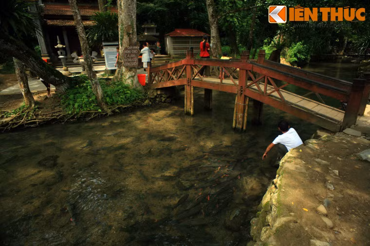 Nằm bên chân núi Trường Sinh, thuộc bản Ngọc, xã Cẩm Lương, huyện miền núi Cẩm Thủy, suối cá thần Cẩm Lương là một thắng cảnh nổi tiếng cả nước của tỉnh Thanh Hóa.