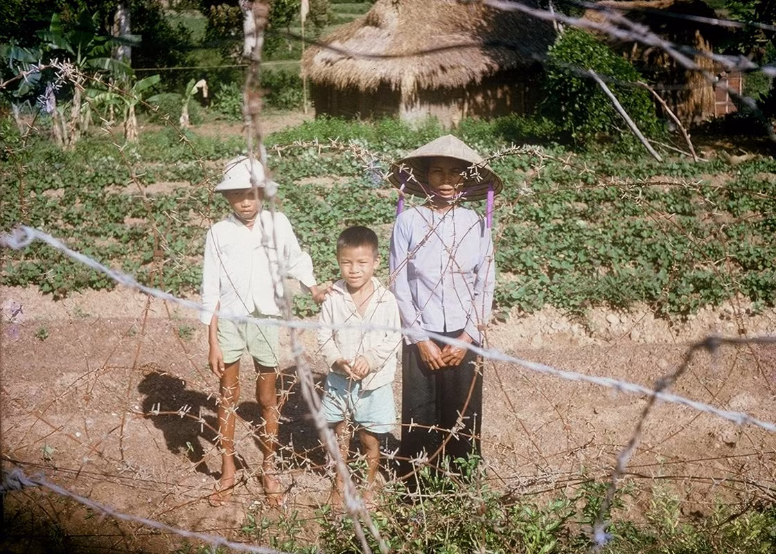 Cụ bà và hai đứa cháu trên thửa ruộng ven đường.