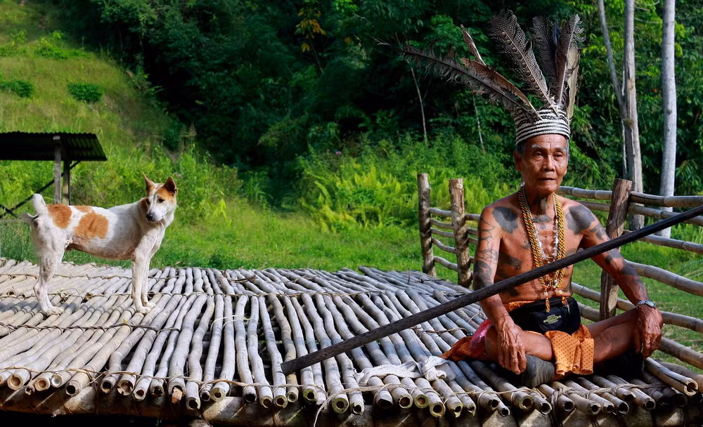 Sinh sống trên đảo Borneo, bộ tộc thổ dân Dayak của Indonesia có nhiều nét văn hóa độc đáo rất giống với người Việt cổ thời Hùng Vương. Theo nghiên cứu lịch sử, tổ tiên người Dayak đã di cư từ lục địa châu Á ra đảo từ hơn 3.000 năm trước, tương ứng với thời kỳ Hùng Vương ở Việt Nam.
