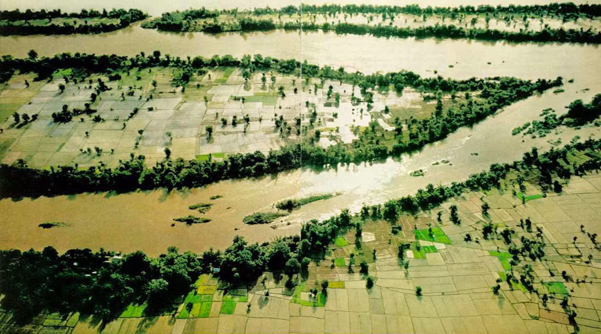 Những thửa ruộng bên sông Mekong ở tỉnh Pakse, Lào.