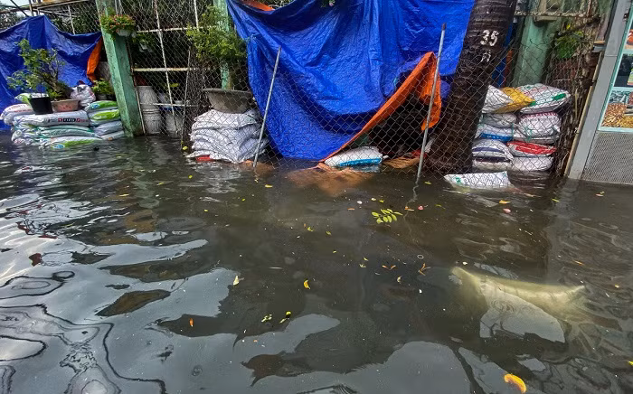 TP HCM: Go Vap chi hon 134 ty duy tu giao thong, thoat nuoc