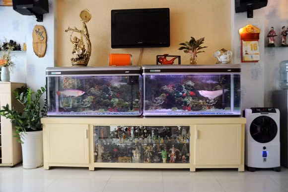 Tài sản của đại gia mang 550 cây vàng nướng chiếu bạc - Hình 3 Tai san cua dai gia mang 550 cay vang nuong chieu bac-Hinh-3
