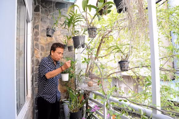 Tài sản của đại gia mang 550 cây vàng nướng chiếu bạc - Hình 4 Tai san cua dai gia mang 550 cay vang nuong chieu bac-Hinh-4