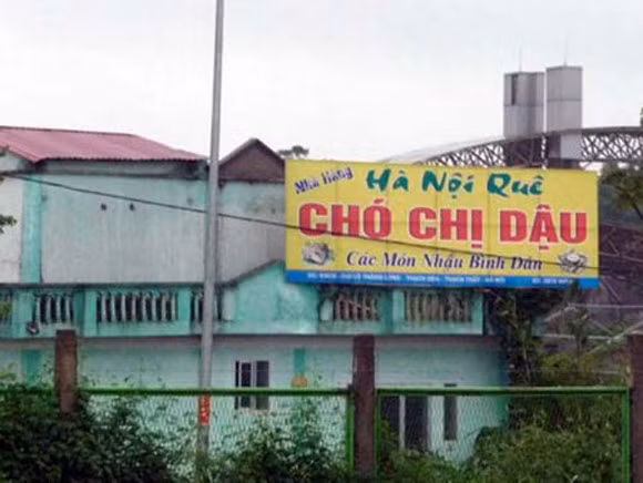 Một cách quảng cáo gây sự chú ý.