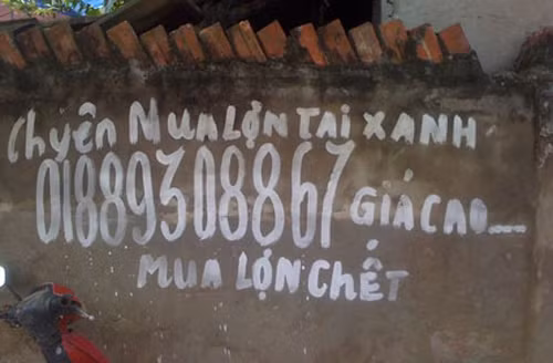 Chuyên mua lợn chết, lợn tai xanh.... công khai quảng cáo.