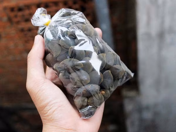 Trái xay có hình bầu dục hơi dẹp, màu đen hay nâu thẫm, vị ngọt, chua nhẹ. Trái xay có chứa lượng đạm protein thấp, chất xơ dạng thô cao vừa phải, nên loại quả này có thể giúp giảm nồng độ cholesterol trong máu, được nhiều người rất ưa chuộng. Với nhiều người dân, trái được xem là "lộc rừng" vì mang lại thu nhập cao.