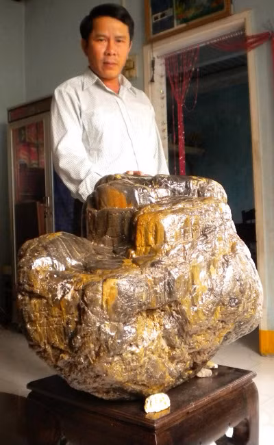 Trong một lần đào cát làm đường nằm dưới lòng đất có độ sâu hơn 5m ở sông Vân Canh (Bình Định), ông Lê Văn Bảy tình cờ phát hiện gốc cây gỗ hóa thạch này cao 51cm, đường kính chỗ lớn nhất lên tới 67cm, nơi nhỏ nhất là 52cm, có khối lượng nặng xấp xỉ 200 kg. Ảnh: Quân đội nhân dân Online.