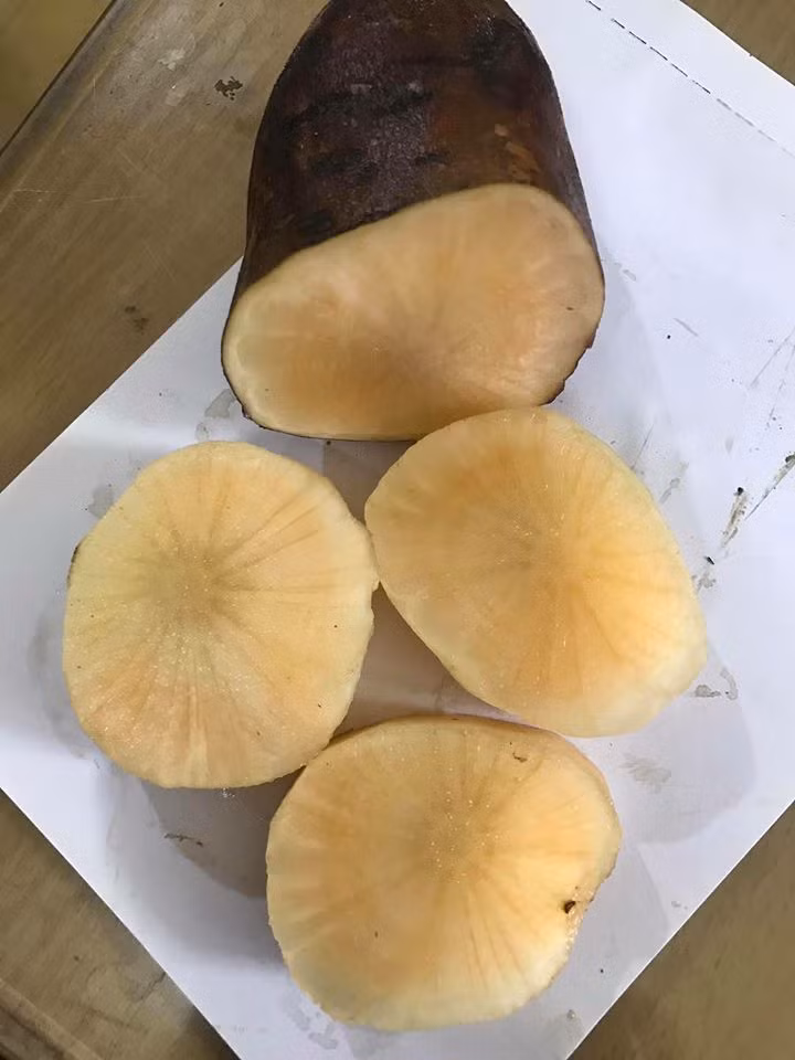 Giải nhiệt cơ thể, làm mát gan: Lấy lá sâm đất đem nấu canh ăn hàng ngày sẽ giúp thanh nhiệt, giải độc gan vô cùng hiệu quả.