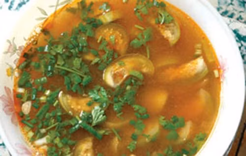 Canh cà đắng: Người dân tộc Tây Nguyên – Đắc Lắc, Đắc Nông thường dùng cà đắng chế biến món ăn trong các bữa cơm để phòng và chữa bệnh thống phong, thấp khớp hay đau nhức. Cây cà đắng mọc hoang trên nương rẫy rồi được trồng nhiều trong vườn, hầu như nhà của người Ê Đê nào cũng có trồng cà đắng.