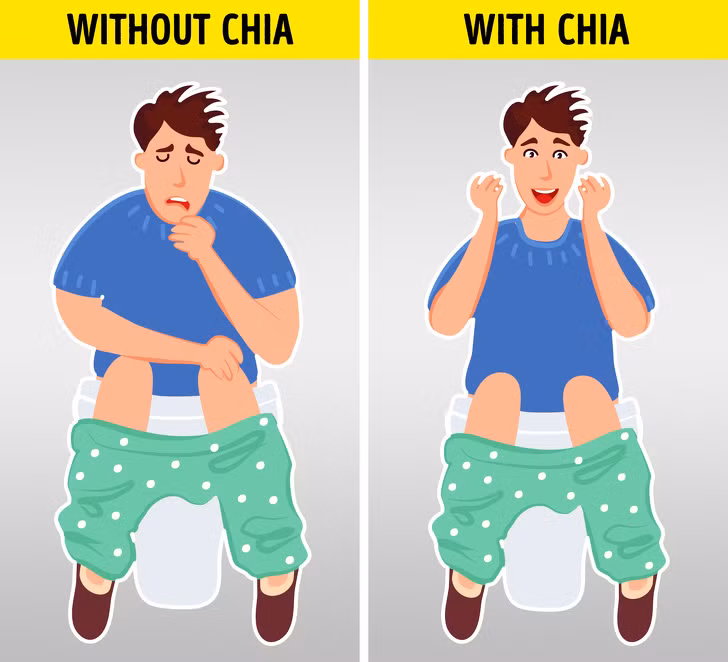 Giúp ngăn ngừa táo bón: Hạt chia rất giàu chất xơ, góp phần cải thiện tiêu hóa. Hơn nữa, chất xơ không hòa tan mà hạt chia có được sẽ trở thành một loại gel khi tiếp xúc với nước. Chất này giúp cải thiện nhu động ruột và ngăn ngừa táo bón.