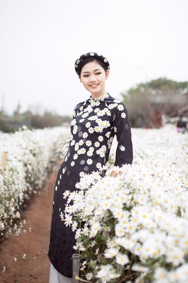 Á hậu Thanh Tú cũng từng lưu lại những khoảnh khắc đẹp trong bộ ảnh áo dài chụp với cúc họa mi.