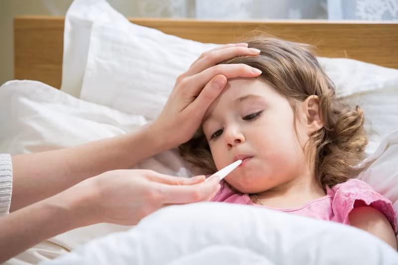 Cải thiện hệ miễn dịch và trị sốt: Uống trà kim ngân hoa cùng một chút mật ong sẽ giúp tăng cường hệ miễn dịch và chống lại một số bệnh theo mùa như cảm cúm hay cảm lạnh. Ngoài ra kim ngân hoa còn có tác dụng “thần kỳ” trong trị sốt và giúp xoa dịu cơn ho và đau họng.