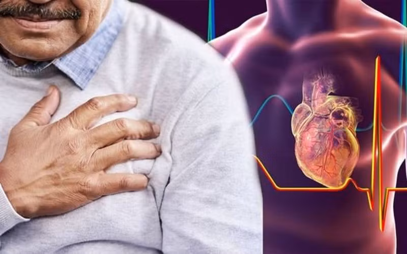 Ngăn ngừa các bệnh tim mạch: Mộc nhĩ đen chứa vitamin K, canxi và các chất dinh dưỡng khác, có thể ức chế hiệu quả tình trạng tụ máu trong, ngăn ngừa triệu cục máu đông to dần lên.