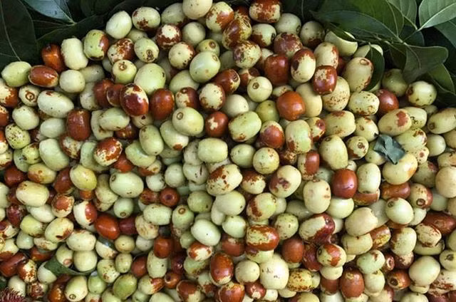 7 loại thực phẩm vàng cho nam giới khỏe mạnh, cường tráng - Hình 3 7 loai thuc pham vang cho nam gioi khoe manh, cuong trang-Hinh-3