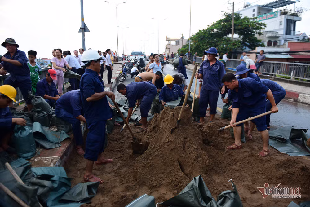 Hàng chục công nhân dùng những bao cát để gia cố bờ bao.