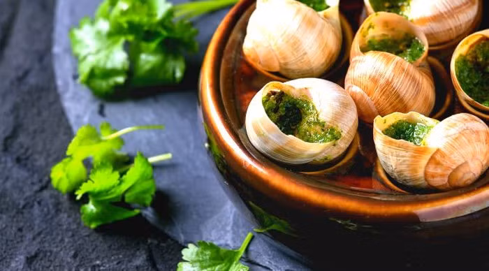 Có nhiều cách để thưởng thức và người Pháp chọn cách dùng ốc sên với bơ và bánh mì, nướng cùng sốt, nấu súp hoặc làm pizza…Mỗi cách chế biến lại mang hương vị độc đáo riêng nhưng nổi bật hơn cả vẫn là hương vị đậm đà của ốc sên, khiến thực khách nhớ mãi sau khi thưởng thức. Ảnh: Wordpress. Video "Chế biến các món ngon từ nấm đông cô". Nguồn: VTC.