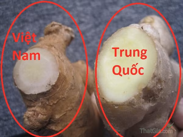 Cách dùng gừng cực tốt cho sức khỏe trong mùa đông lạnh - Hình 3 Cach dung gung cuc tot cho suc khoe trong mua dong lanh-Hinh-3