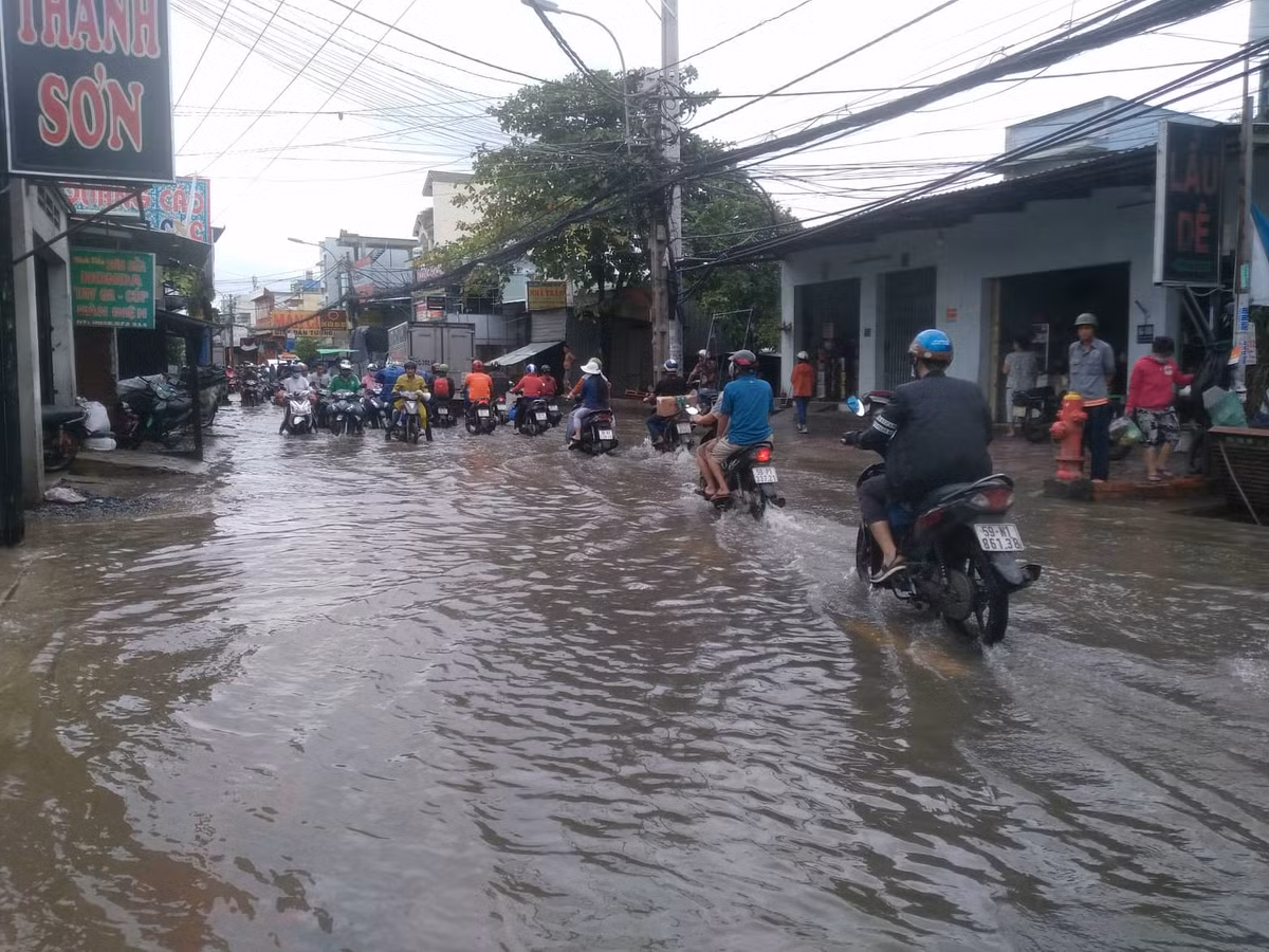 TP.HCM: Dan bat luc nhin tai san ngap trong bien nuoc-Hinh-3