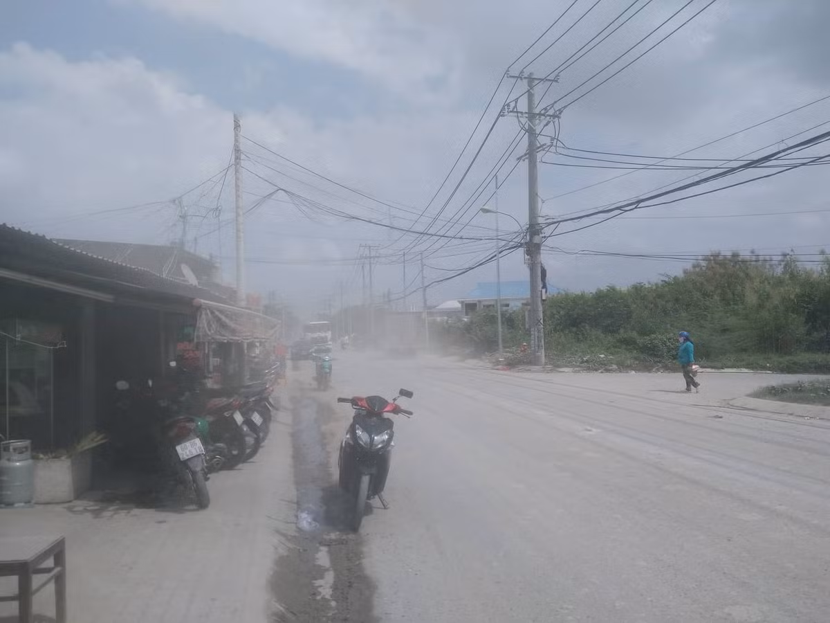 Bên cạnh đó, cách đường Huỳnh Tấn Phát chỉ khoảng 2km, hàng trăm hộ dân sinh sống trên tuyến đường Đào Trí (phường Phú Thuận, quận 7) cũng chịu chung số phận tương tự vì ô nhiễm. 