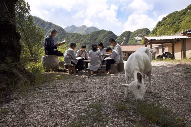 Bai Zilin là người sáng lập Học viện Zhongnanshan năm 2010. Vợ của anh, cô Hou Jie, đồng sáng lập. Mọi hoạt động học tập ở đây đều gắn liền thiên nhiên, tạo nên trải nghiệm vô cùng đặc biệt.