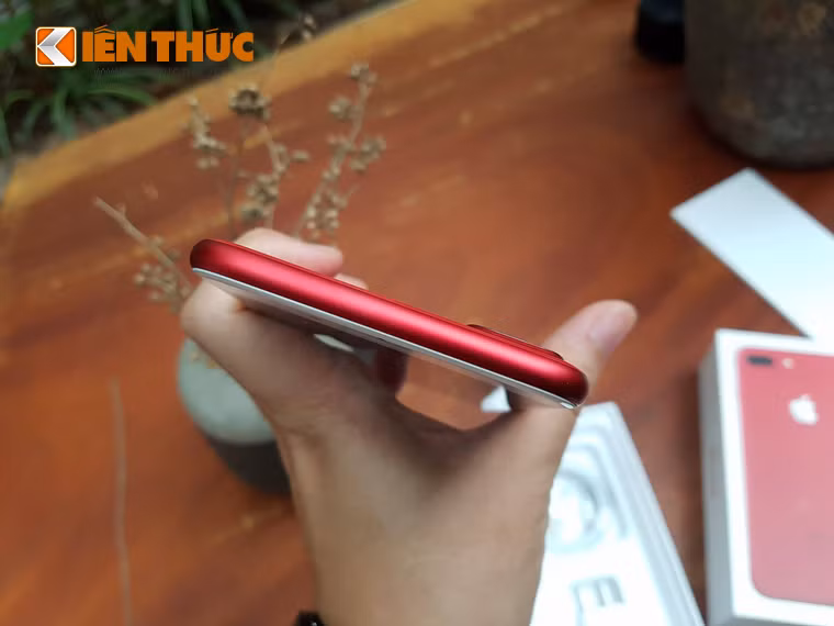 Được biết, số lượng iPhone 7 Plus màu đỏ về Việt Nam trong giai đoạn này là khá hạn chế. Phiên bản iPhone 7 plus sẽ có hai loại dung lượng 128GB và 256GB.