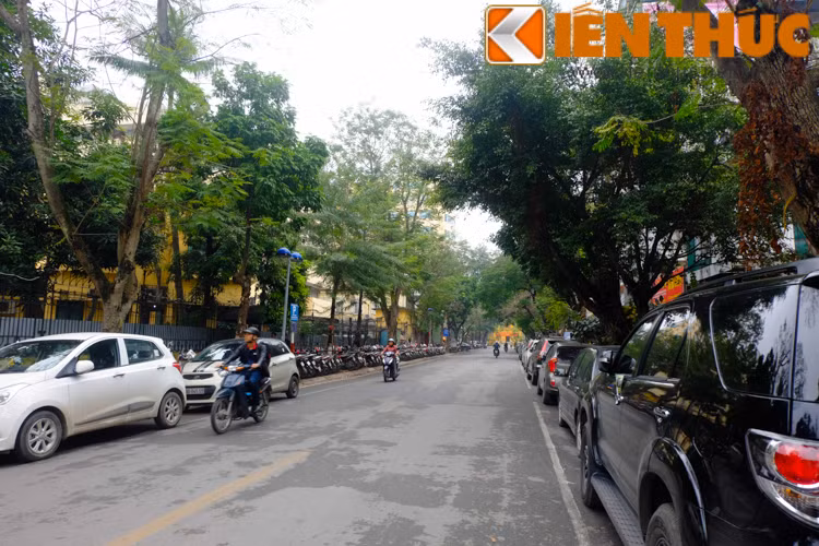 Mặc dù đã có quy định đỗ xe nhưng trên phố Dã Tượng vẫn còn những chiếc xe đỗ sai quy định.