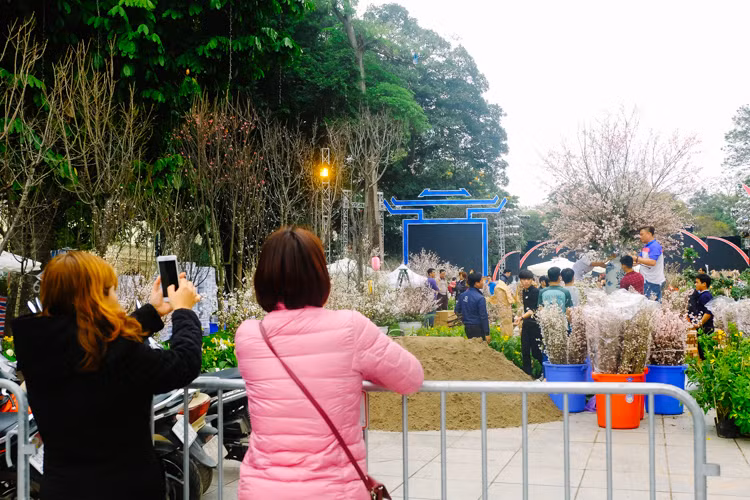 Thích thú và háo hức với Lễ hội Hoa anh đào, trưa nay, dù chưa được vào bên trong nhưng rất nhiều vị khách, người đi đường đã dừng lại ngắm hoa, chụp ảnh từ phía ngoài hàng rào. Dự kiến, Lễ hội Hoa anh đào Nhật Bản sẽ khai mạc vào 20h tối 10/3, kéo dài 3 ngày và có thể dài hơn nữa.