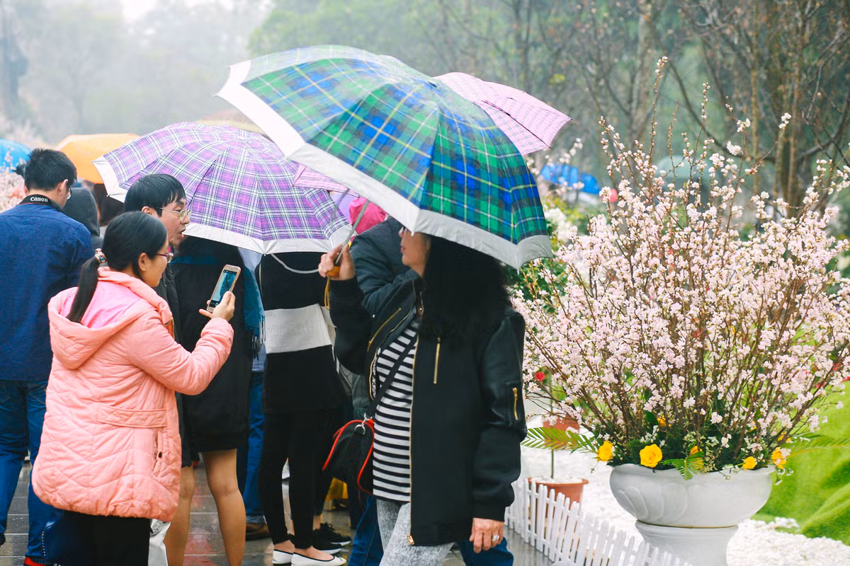 Với nhiều người, đây là lần đầu tiên được ngắm hoa anh đào Nhật Bản. Chị Hoàng Lan (34 tuổi, Minh Khai, Hà Nội) hào hứng chia sẻ: "Mặc dù sáng nay thấy mưa nhưng vì chưa lần nào được thấy tận mắt loại hoa này nên tôi vẫn rủ ông xã đi ngắm. Hoa đẹp hơn rất nhiều so với tưởng tượng của tôi".