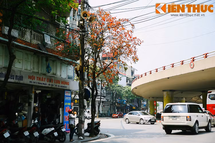 Những người yêu Hà Nội dừng chân góc phố để lưu lại cảnh sắc đầy bâng khuâng, lãng mạn của Thủ đô.