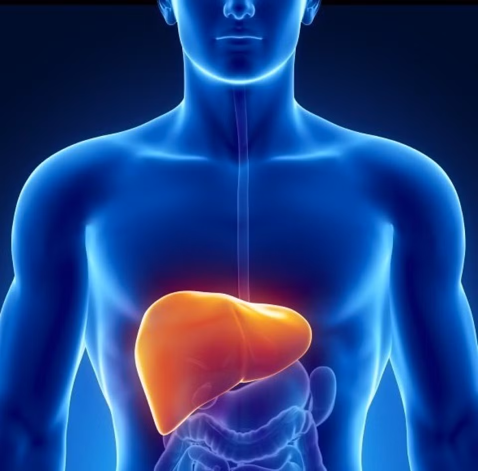 Do đó, bệnh nhân sẽ cảm thấy khô và đắng miệng, thậm chí ảnh hưởng đến giấc ngủ bình thường. Nếu tồn tại loại trường hợp này, tốt nhất là đến bệnh viện khám và điều trị kịp thời ung thư gan. Chỉ khi sức khỏe gan ở trạng thái ổn định, sự khó chịu ở miệng của người bệnh mới có thể giảm bớt.