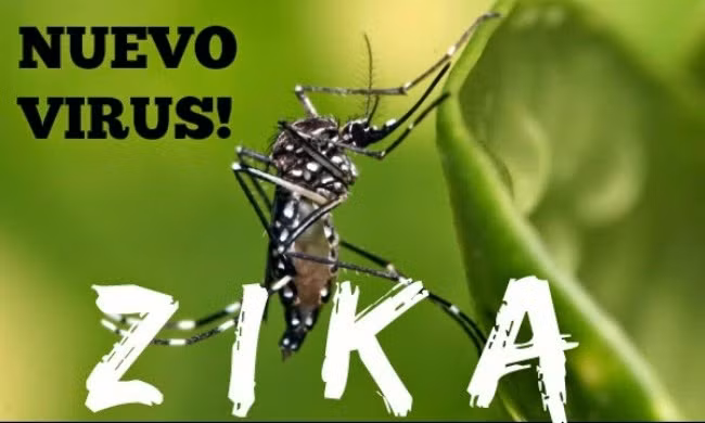Bo y te canh bao virus an nao tu muoi o VN