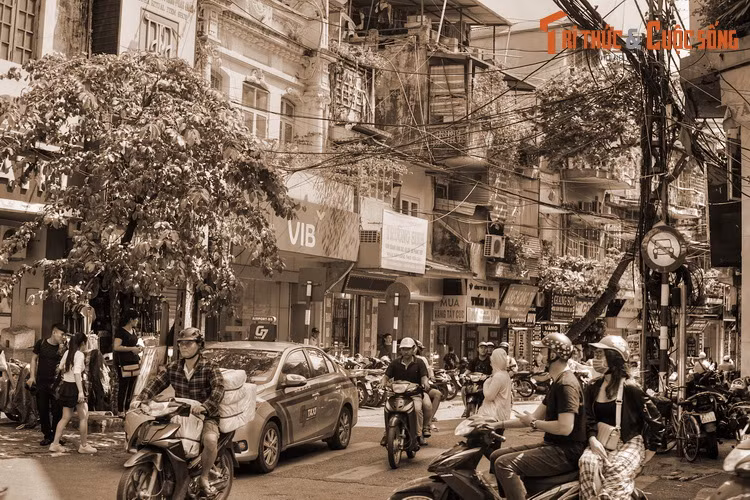 “...Hết phố Hàng Mắm, chúng tôi sang phố Hàng Thừng (tên gọi cũ của phố Hàng Gai) phải qua một mê cung những con phố nhỏ hẹp, phải theo cách định hướng để tới phố du Change (phố Đổi tiền)...”.
