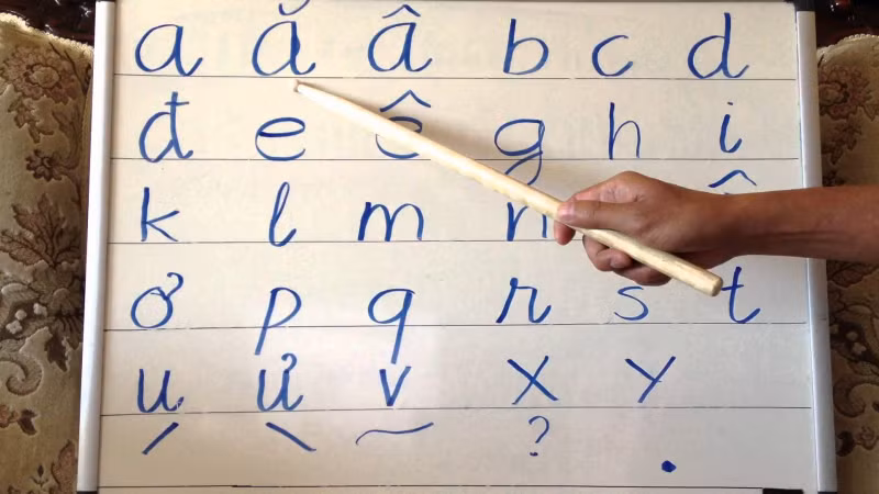 Tiếng Việt luôn là một thách thức thú vị: “Phong ba bão táp không bằng ngữ pháp Việt Nam” có vẻ rất đúng với khách quốc tế. Do tính phức tạp của âm điệu nên khi người nước ngoài thực hành nói tiếng Việt, họ thường gặp nhiều khó khăn và dễ "phát kiến" ra những câu nói “bất hủ”.