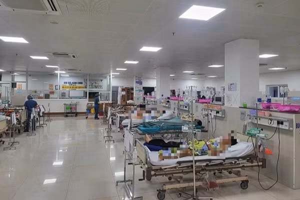 Sốc phản vệ độ II và loạt hậu quả vì côn trùng đốt Soc phan ve do II va loat hau qua vi con trung dot
