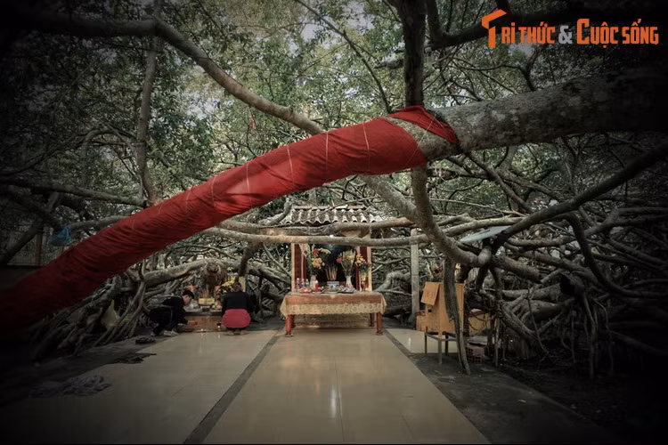 Từ đó, ngôi miếu trở thành sinh hoạt tâm linh của người dân địa phương. Khách thập phương nghe tiếng lành đồn xa cũng ghé đến để cầu mong cho mưa thuận gió hòa, cuộc sống bình an, thuận lợi. Cây gừa cũng phát triển theo thời gian, tạo thành giàn lớn.