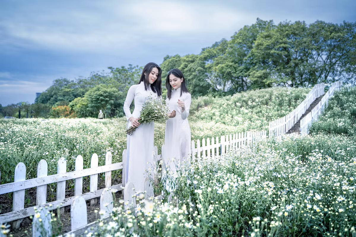 Mỗi năm chỉ có 1 mùa cúc họa mi, thời gian hoa nở lại rất ngắn nên mọi người háo hức, nhất là các bạn trẻ tranh thủ lên ý tưởng và tìm đến vườn cúc hoạ mi để chụp cho mình những bộ ảnh đẹp làm kỷ niệm.