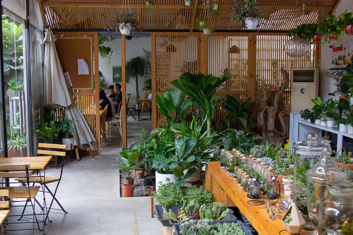 Một quán cafe phù hợp dành cho cuối tuần nữa ở Hà Nội là Tropical Forest Coffee, đây là điểm đến khiến bạn ngỡ như đang lạc trong khu rừng nhiệt đới nhỏ giữa Thủ đô.
