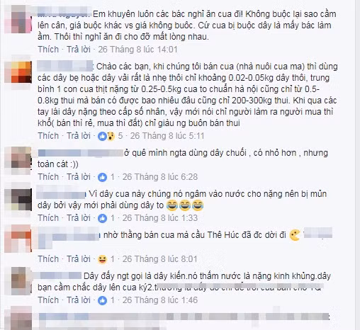 Ngược lại, nickname Trần Văn L - thành viên tự nhận là người nuôi và bán cua thì cho rằng: "Khi chúng tôi bán cua (nhà nuôi cua mà) thì dùng các dây bẹ hoặc dây vải rất là nhẹ thôi chỉ khoảng 0.02-0.05kg dây thôi, trung bình 1 con cua thịt nặng từ 0.25-0.5kg, cua to chuẩn Hà Nội cũng chỉ từ 0.5-0.8kg thôi mà bán có được bao nhiêu đâu, cũng chỉ 200-300k/kg thui. Khi qua các tay lái dây nặng theo cấp số nhân, vậy mới nói chỉ người làm ra người mua thì khổ (bán thì rẻ, mua thì đắt), chỉ giàu người buôn bán thôi".