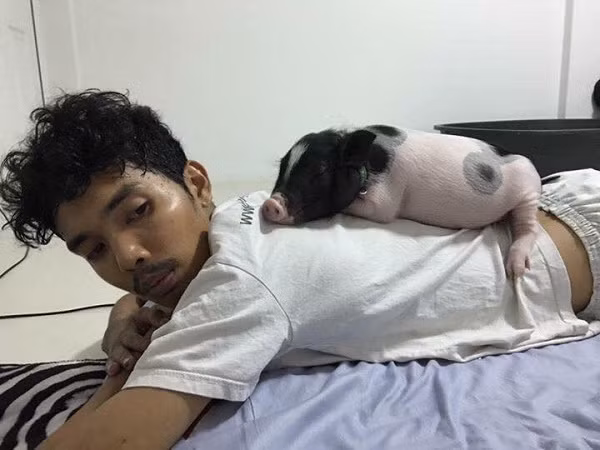 Ky la chang trai tre thich nuoi, ngu voi lon