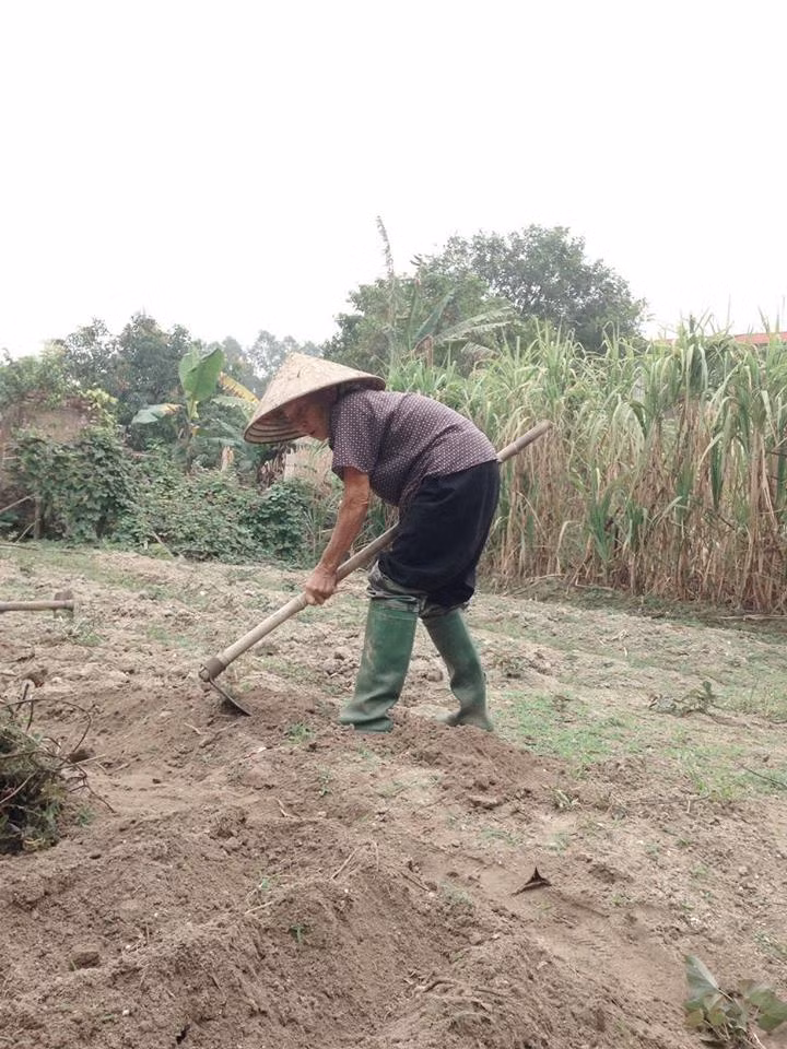 Để không phụ công bà một mình vật lộn với cuộc sống mưu sinh chăm lo cho cháu gái bé nhỏ thành người, được đi học đại học, cô nữ sinh Công Nghiệp luôn cố gắng là cháu ngoan, trò giỏi. Và trong suốt những năm học khi còn ngồi trên ghế nhà trường, Nguyễn Thị Phượng luôn là học sinh giỏi trong lớp cũng như cấp huyện, cấp tỉnh, nhận được nhiều học bổng. Cô bạn cũng từng là lớp phó, Bí thư, thành viên trong Ban chấp hành Đoàn trường...